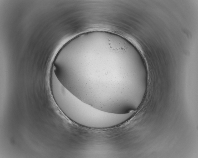 X0000110951104200907101302