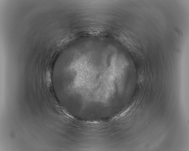 X0000110951106200907101301