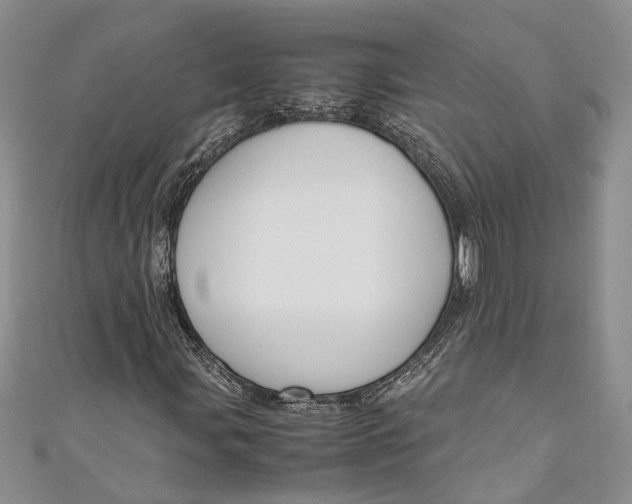 X0000110951107200907101301