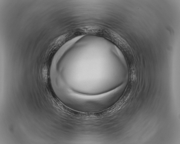 X0000110951108200907101301