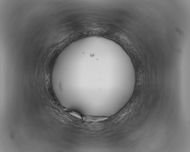 X0000110951109200907101301