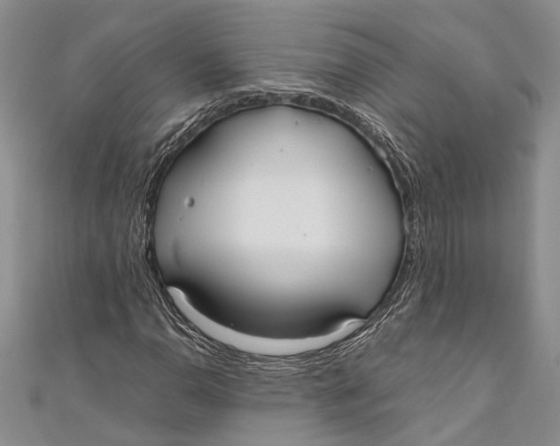 X0000110951110200907101301