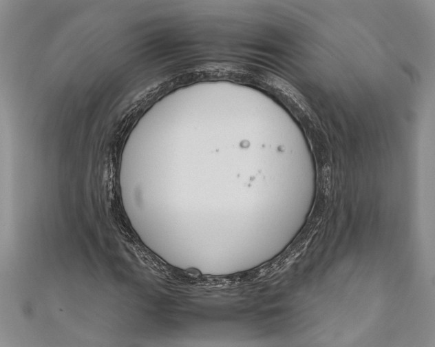 X0000110951111200907101301