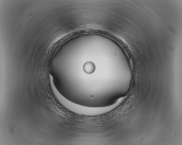 X0000110951112200907101301