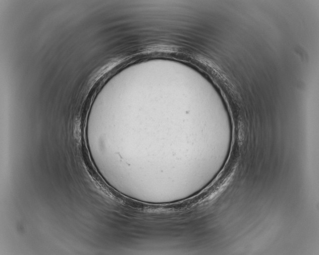 X0000110951113200907101301