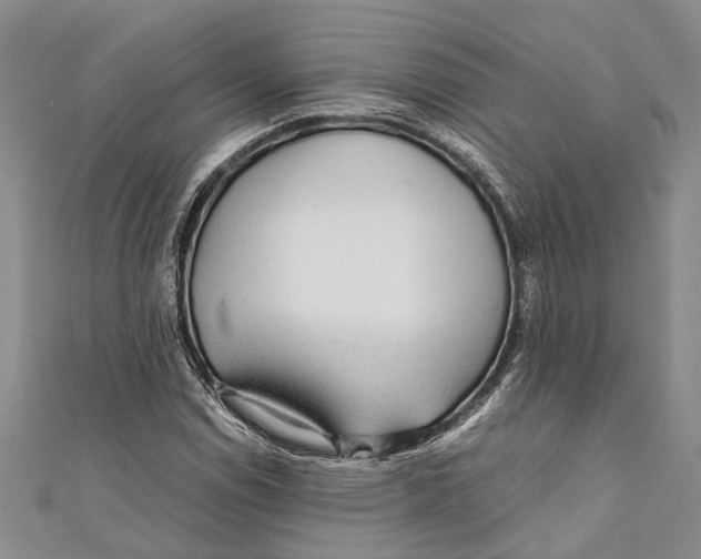 X0000110951114200907101301