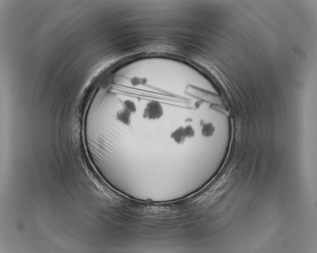 X0000110951115200907101301