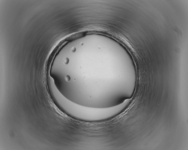 X0000110951116200907101302