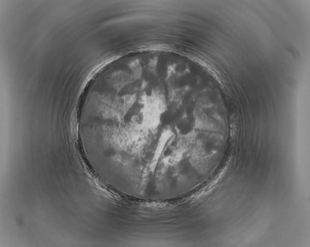 X0000110951117200907101302