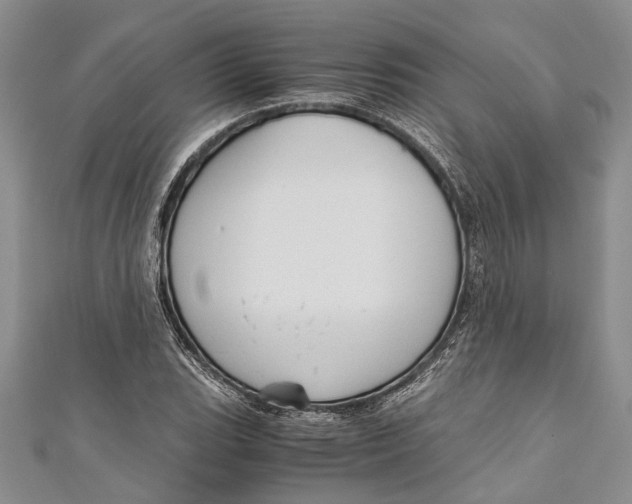 X0000110951119200907101302