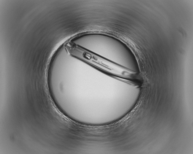 X0000110951120200907101302