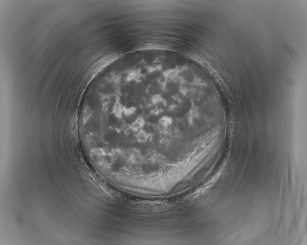 X0000110951121200907101302