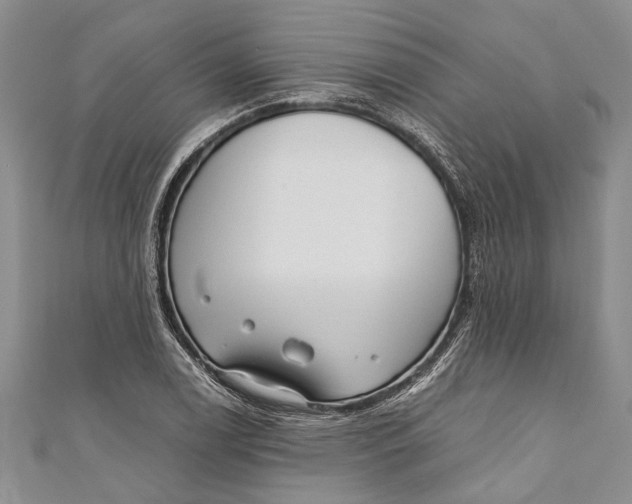 X0000110951122200907101302