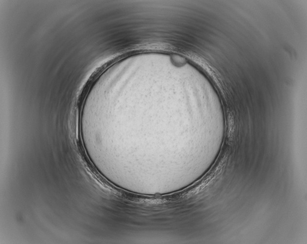 X0000110951123200907101302