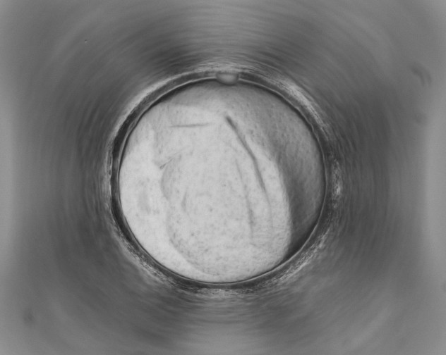 X0000110951124200907101302