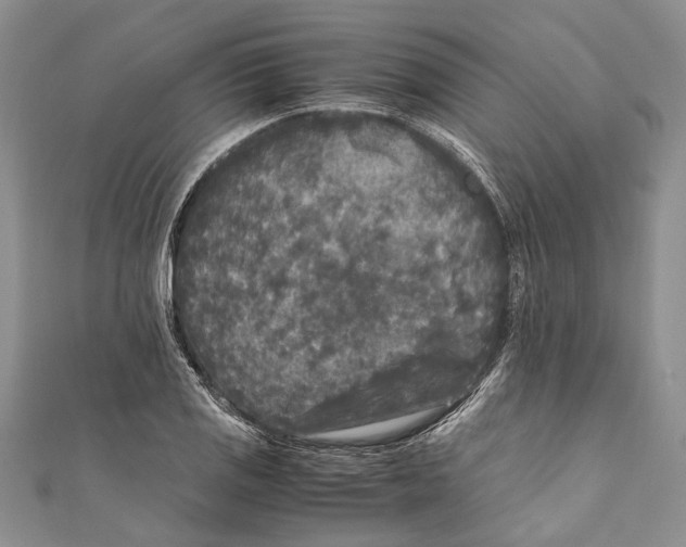 X0000110951125200907101302