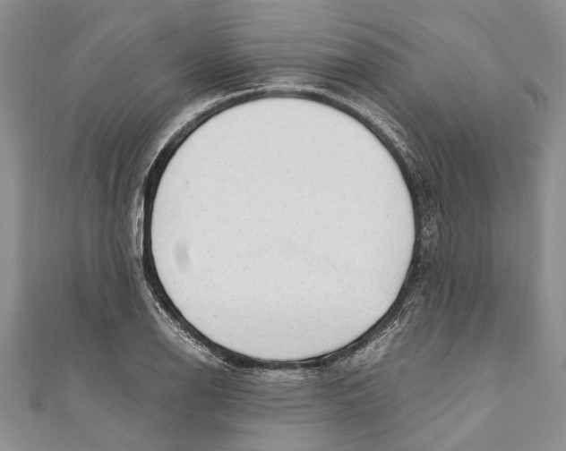 X0000110951126200907101302