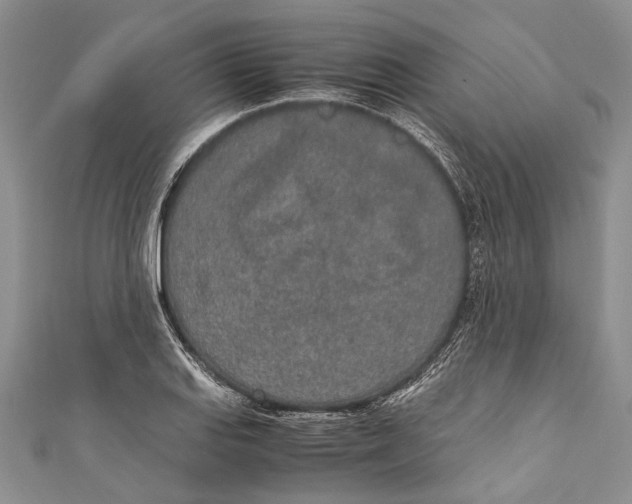 X0000110951127200907101302