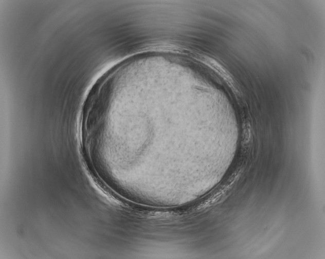 X0000110951128200907101302