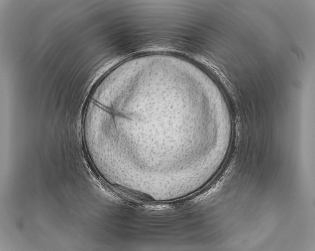 X0000110951129200907101302