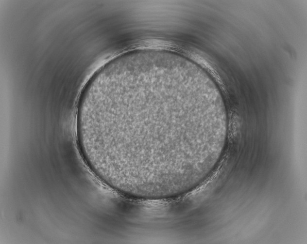 X0000110951130200907101302