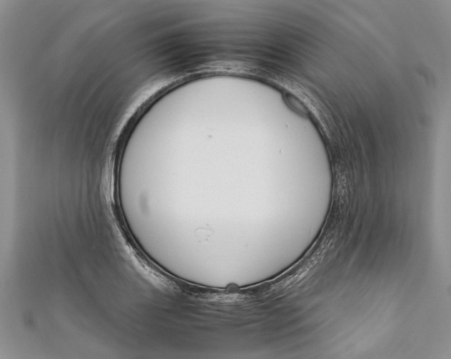 X0000110951131200907101302