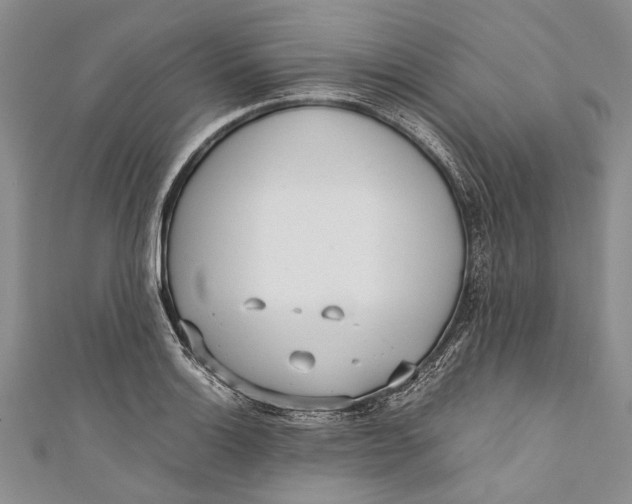 X0000110951132200907101302