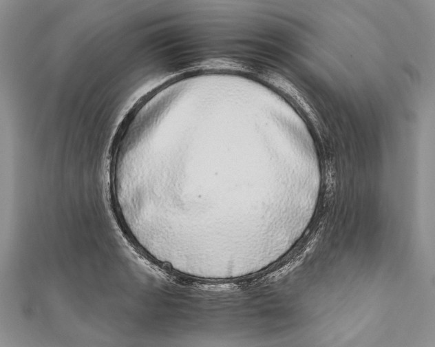 X0000110951133200907101302