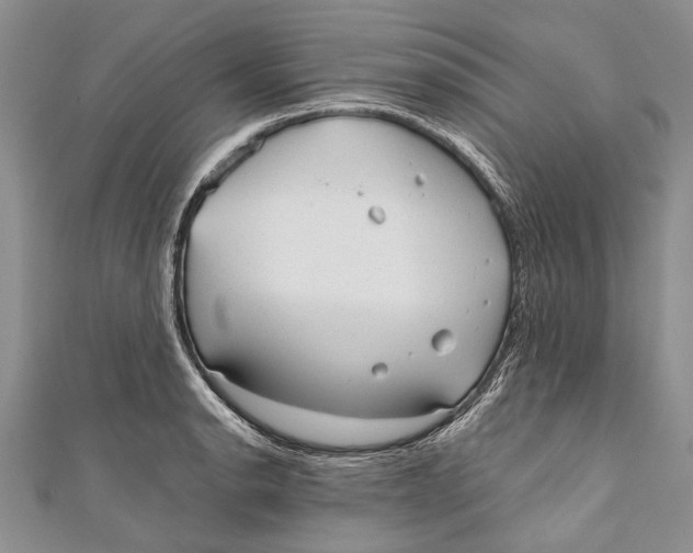 X0000110951134200907101302