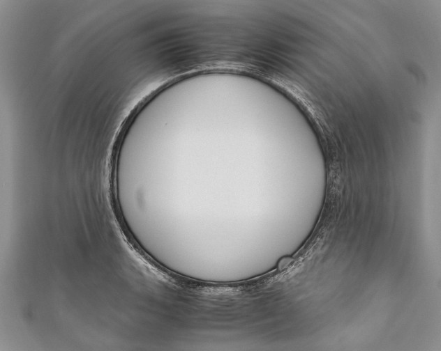 X0000110951135200907101302