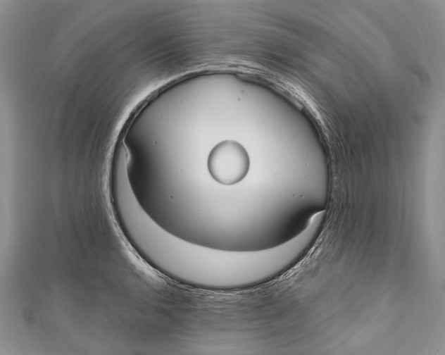 X0000110951136200907101302