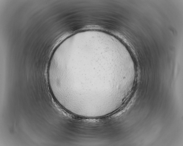 X0000110951137200907101302