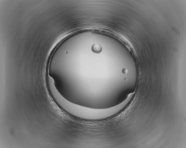 X0000110951138200907101302