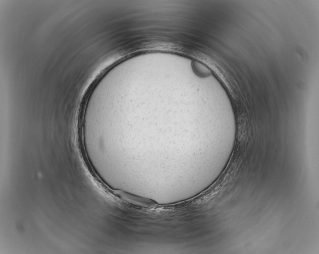 X0000110951139200907101302