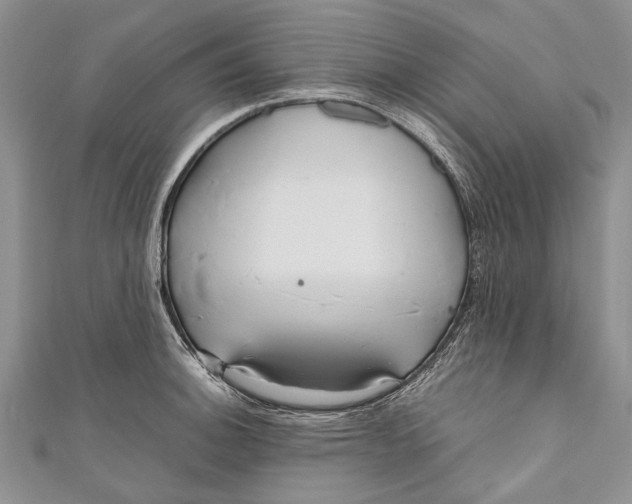 X0000110951140200907101302