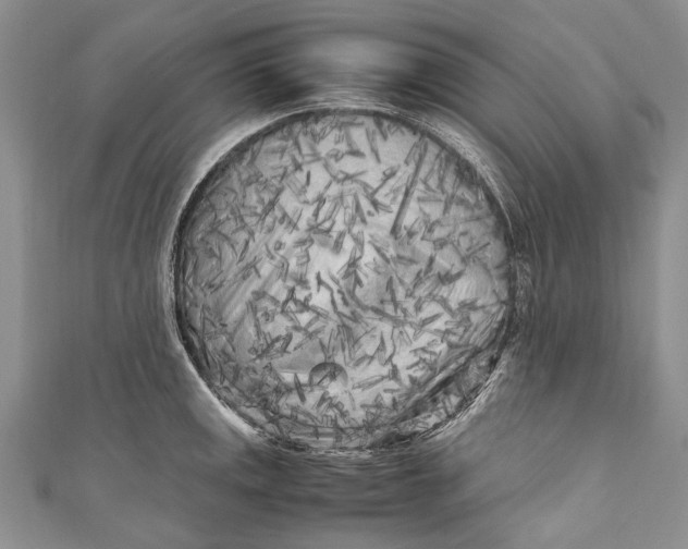 X0000110951141200907101302