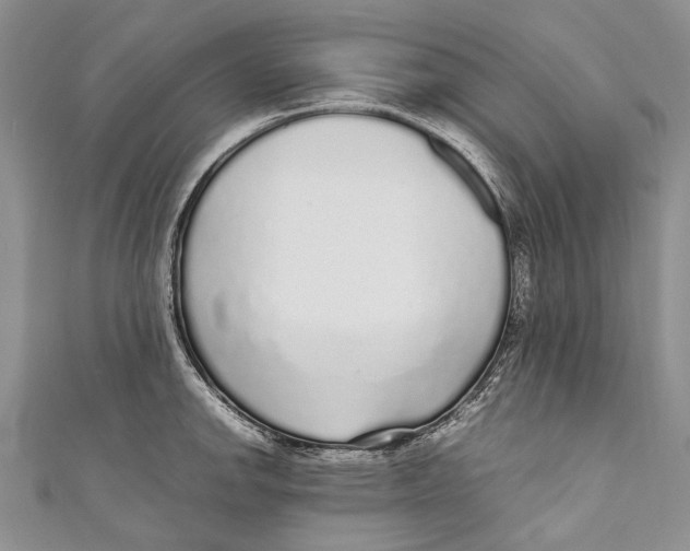 X0000110951142200907101302