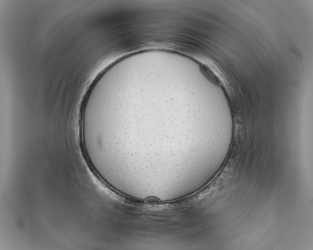 X0000110951143200907101302