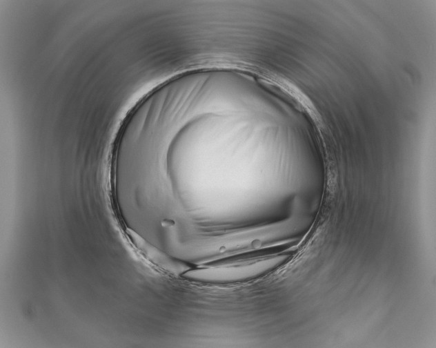 X0000110951144200907101302