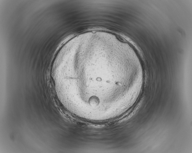 X0000110951145200907101302