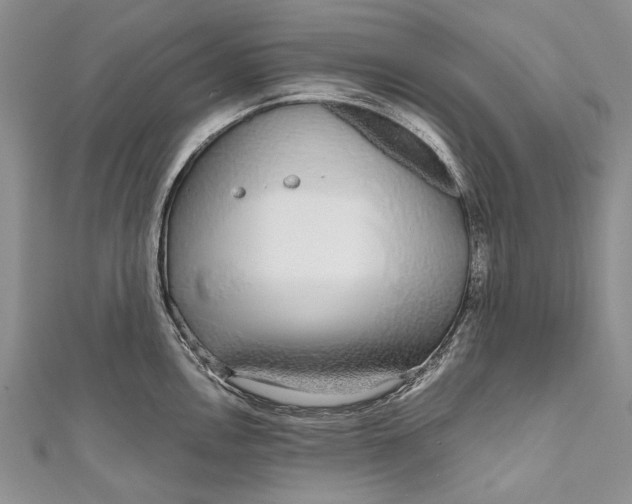 X0000110951146200907101302