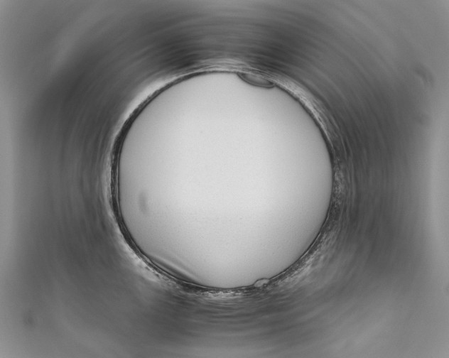 X0000110951147200907101302