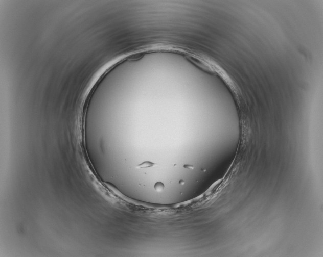 X0000110951148200907101302