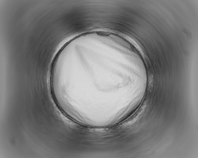 X0000110951149200907101302