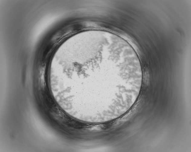 X0000110951150200907101302