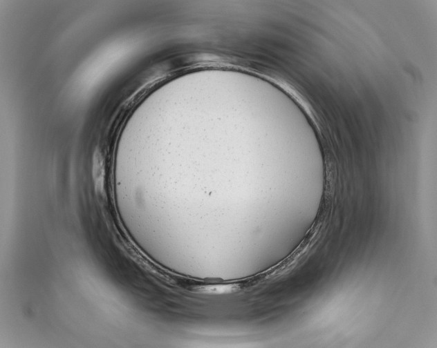 X0000110951151200907101302