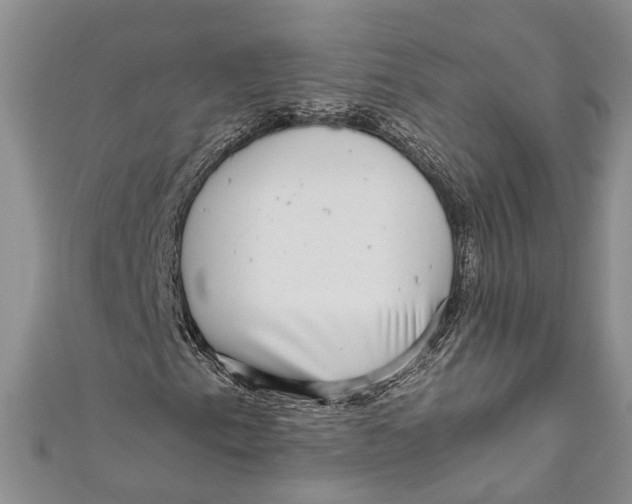 X0000110951153200907101301