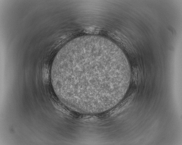 X0000110951154200907101301