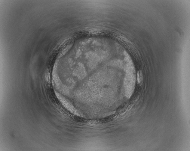 X0000110951155200907101301