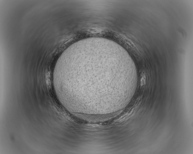 X0000110951156200907101301